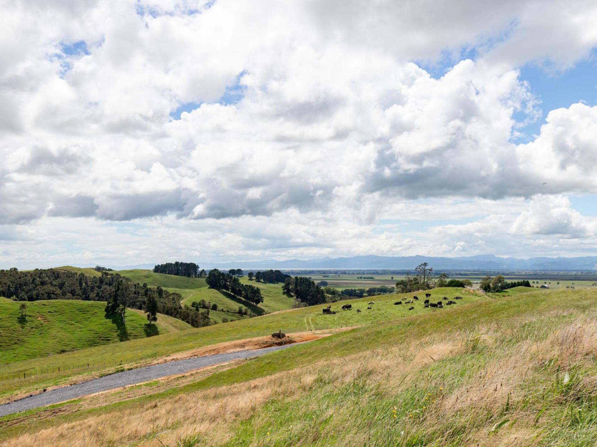 169 Torehape Road West, Kaihere