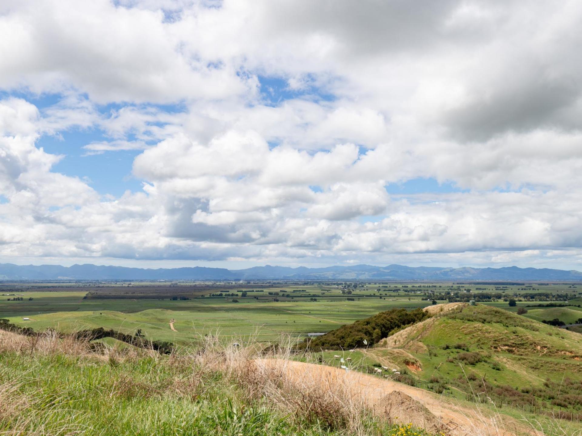 169 Torehape Road West, Kaihere