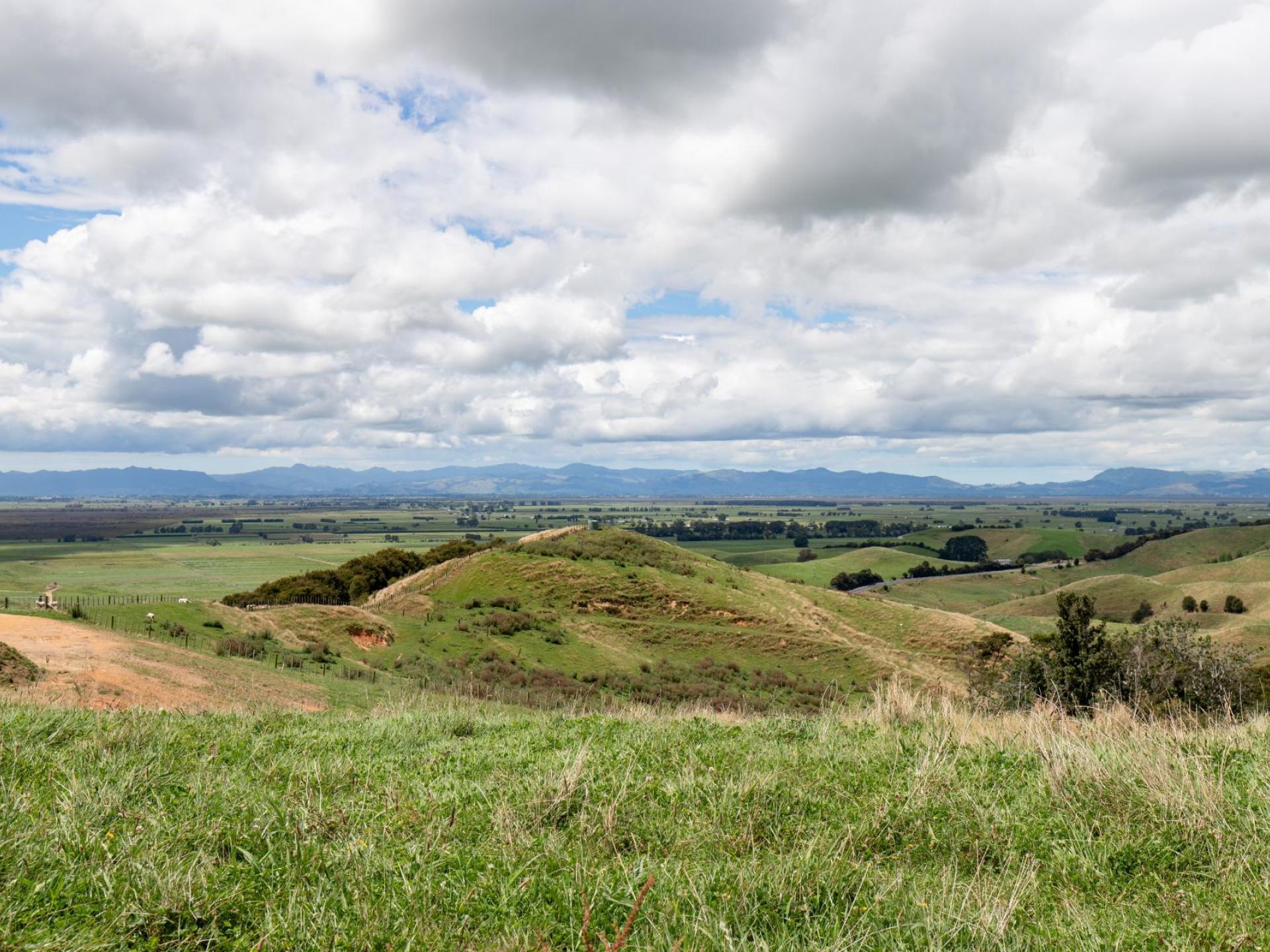 169 Torehape Road West, Kaihere