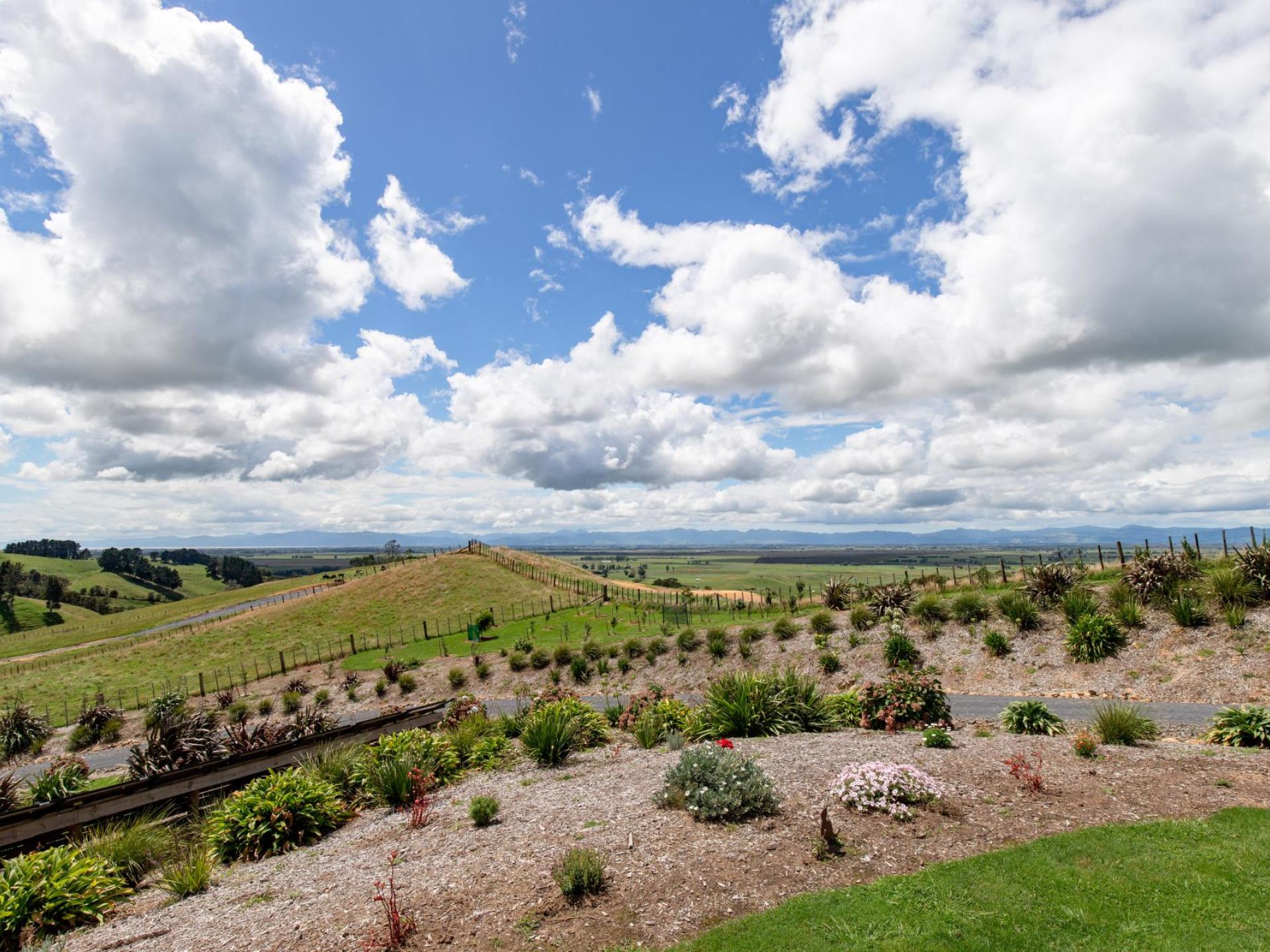 169 Torehape Road West, Kaihere