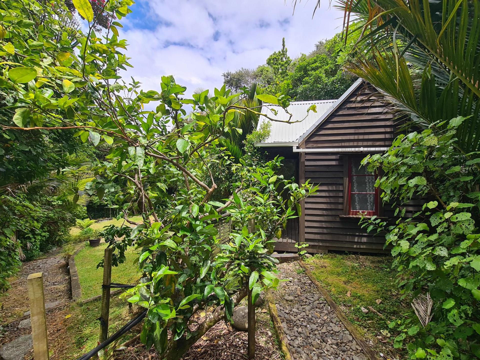 51B Waihirere Drive, Coromandel 51B Waihirere Drive, Coromandel