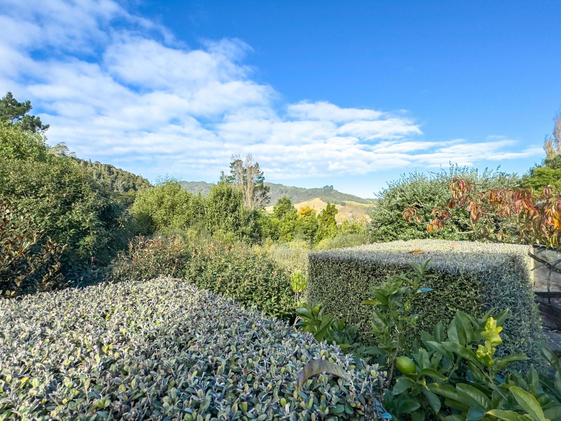 236 The Booms Avenue, Thames