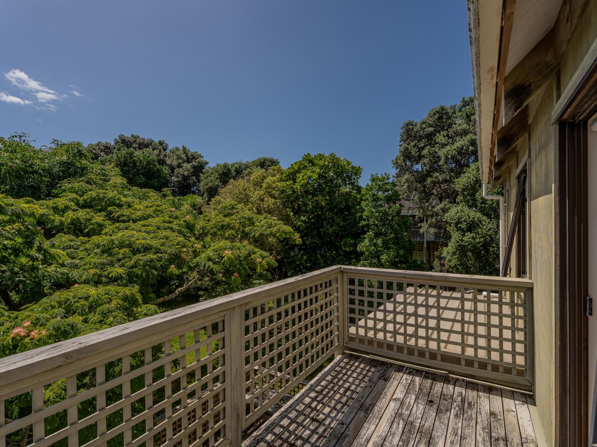 863 Black Jack Road, Opito Bay 863 Black Jack Road, Opito Bay