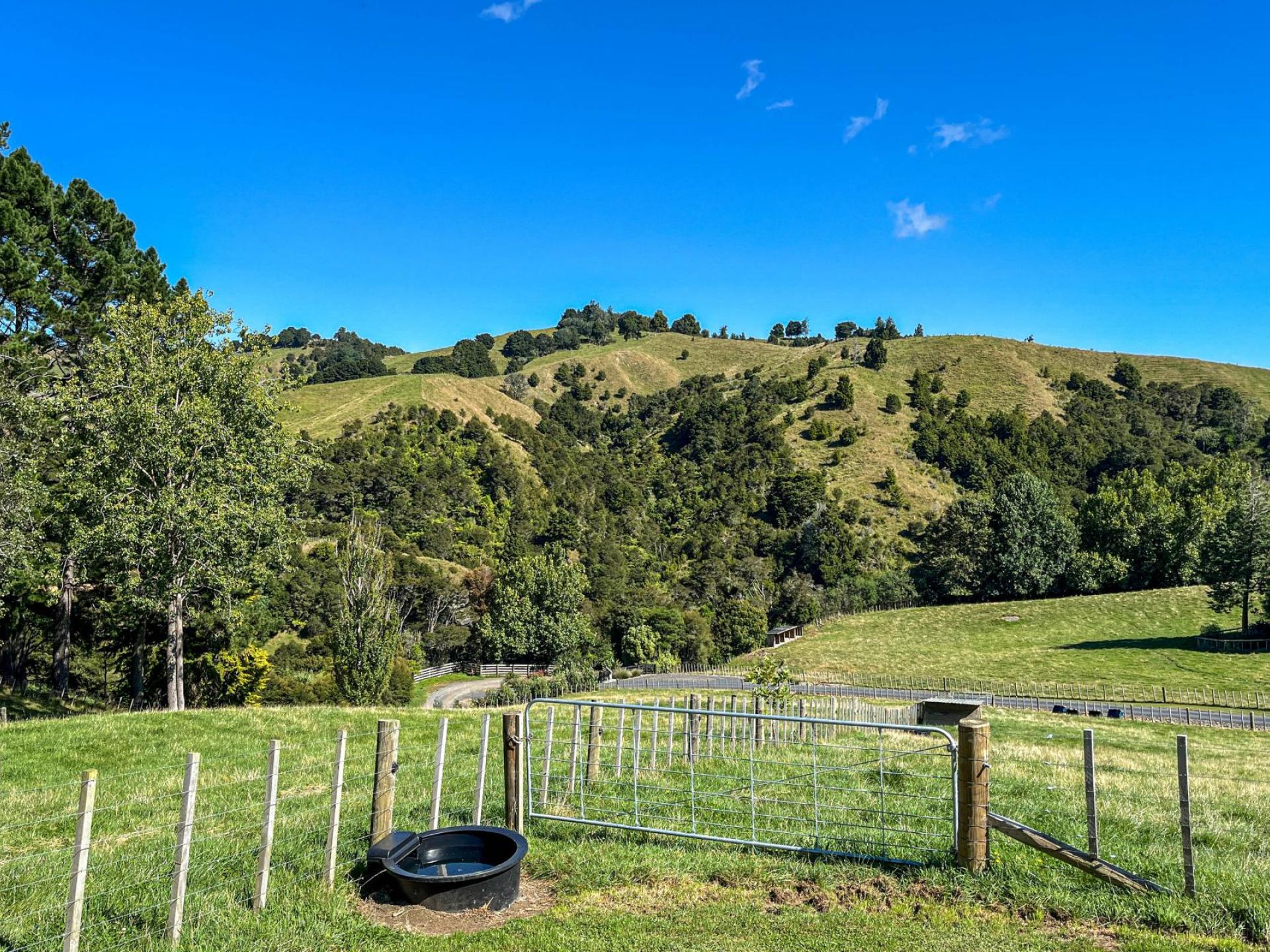 169 Torehape Road West, Kaihere