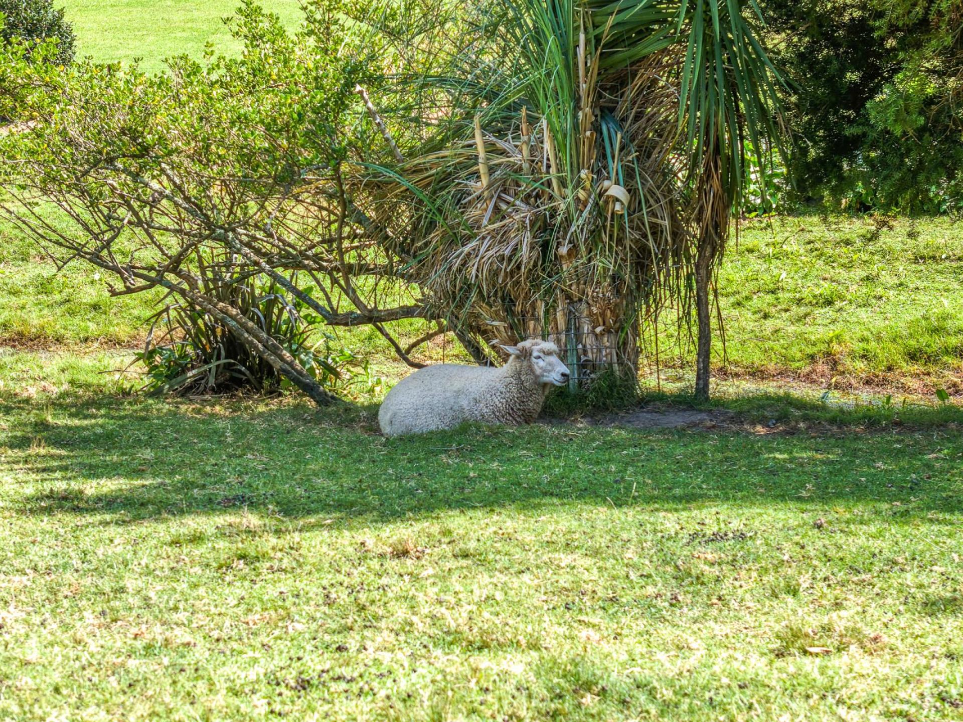 101 Mount View Road, Thames