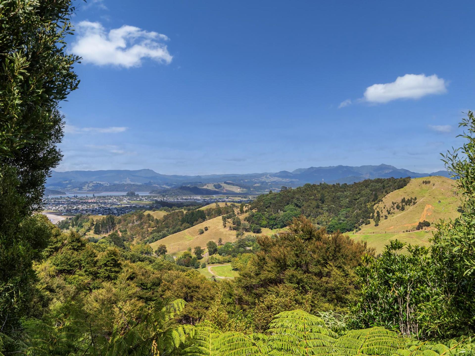 4 Tarapatiki Drive, Whitianga