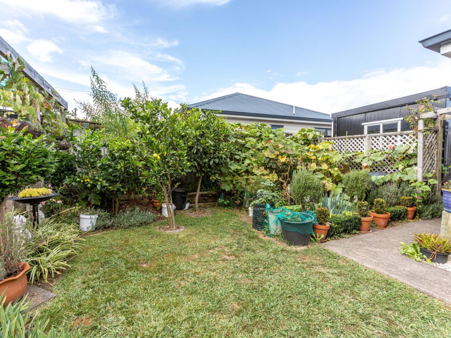 12 Flora Street, Paeroa