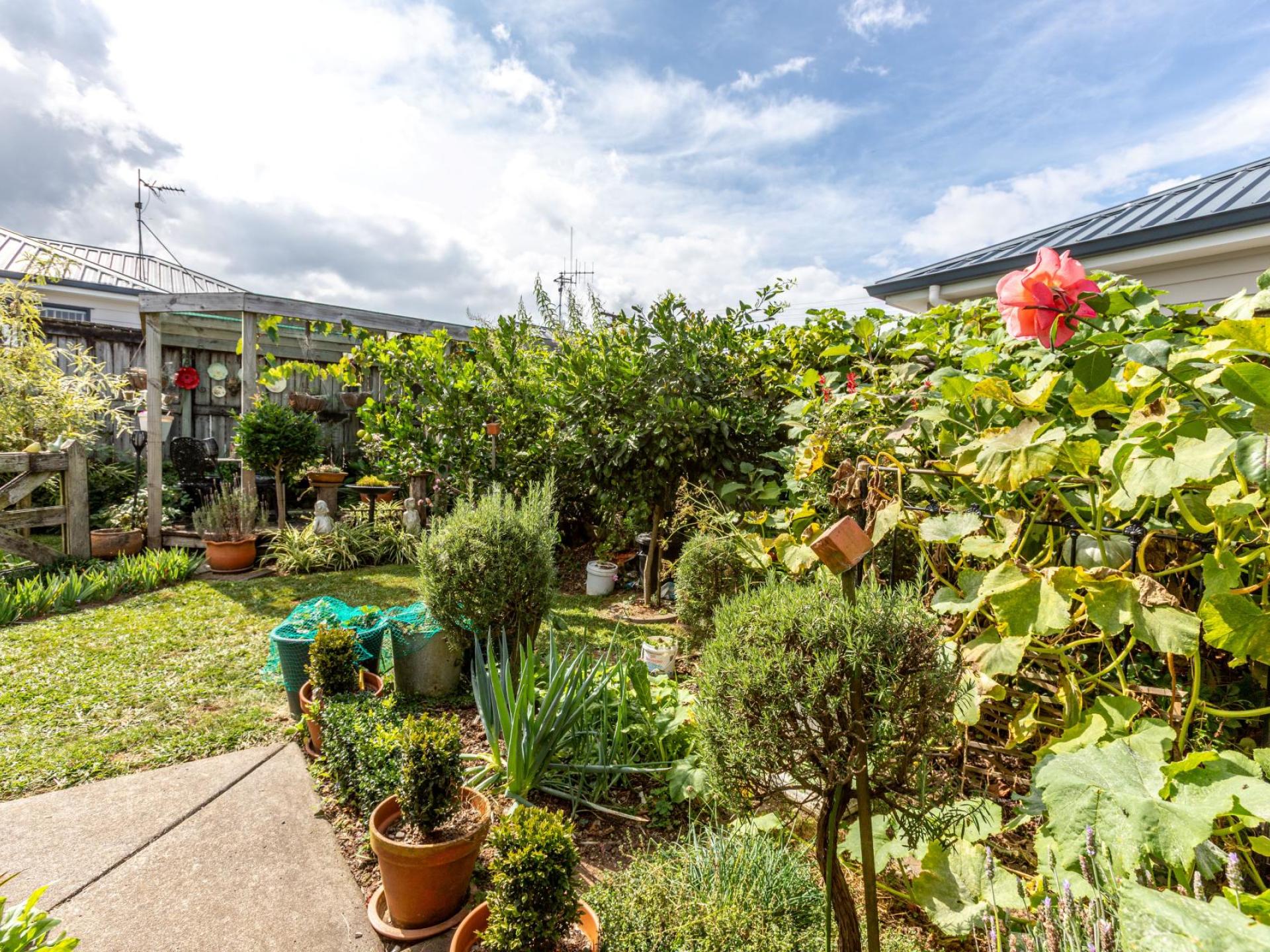 12 Flora Street, Paeroa