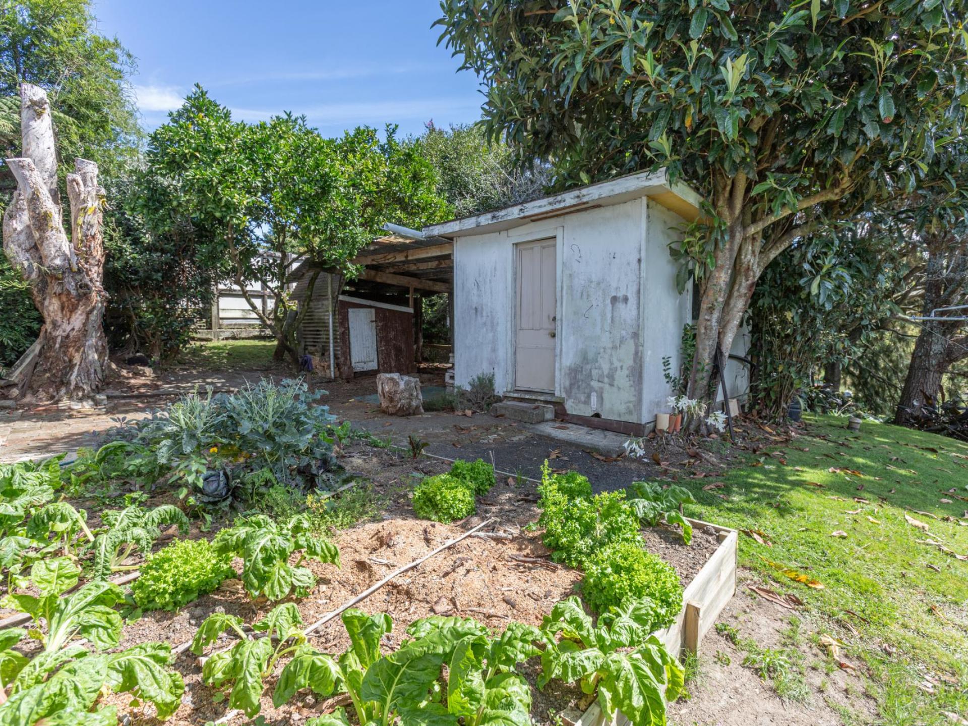 15 Albert Street, Karangahake 15 Albert Street, Karangahake