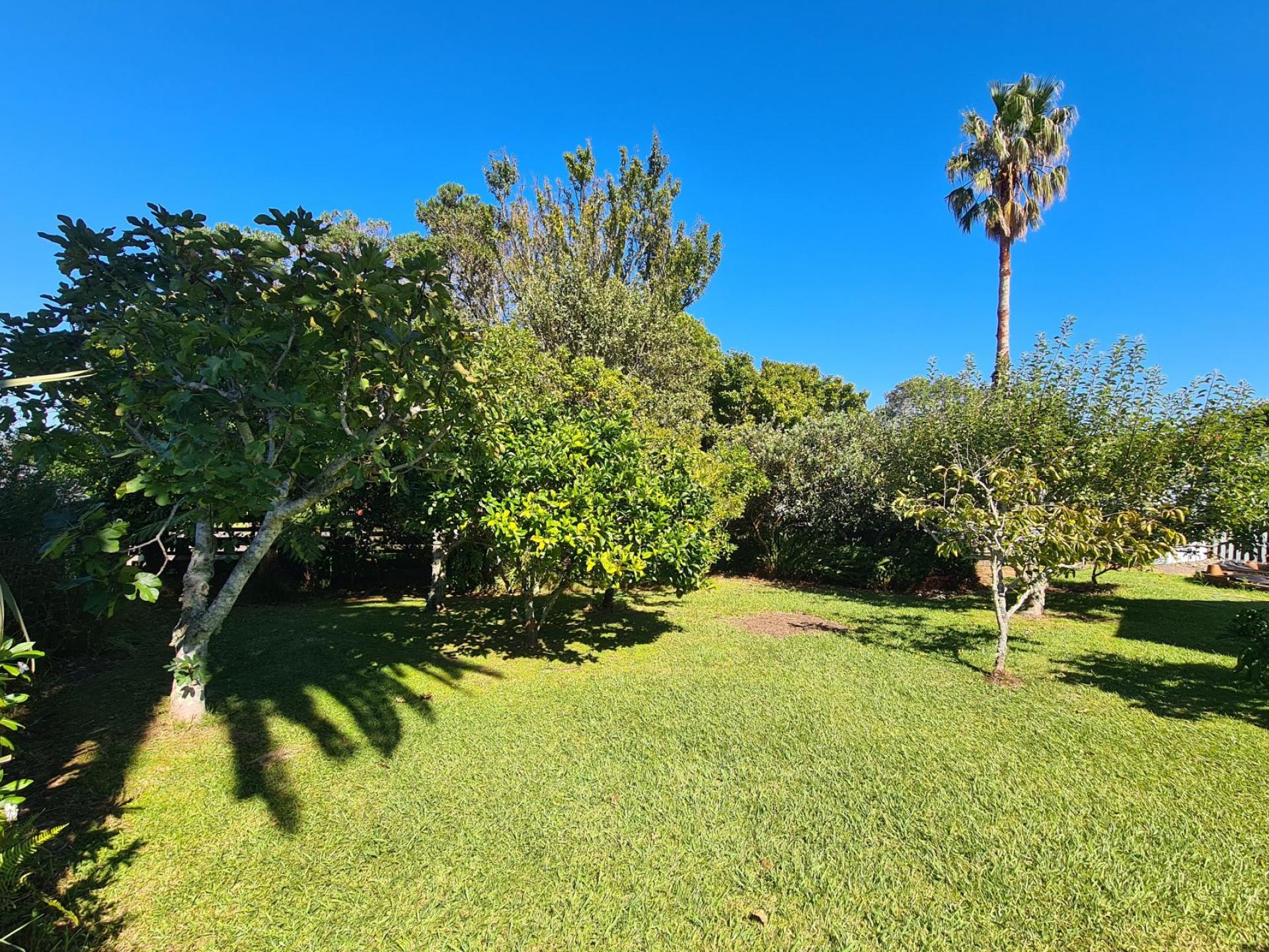 1699 Rings Road, Coromandel