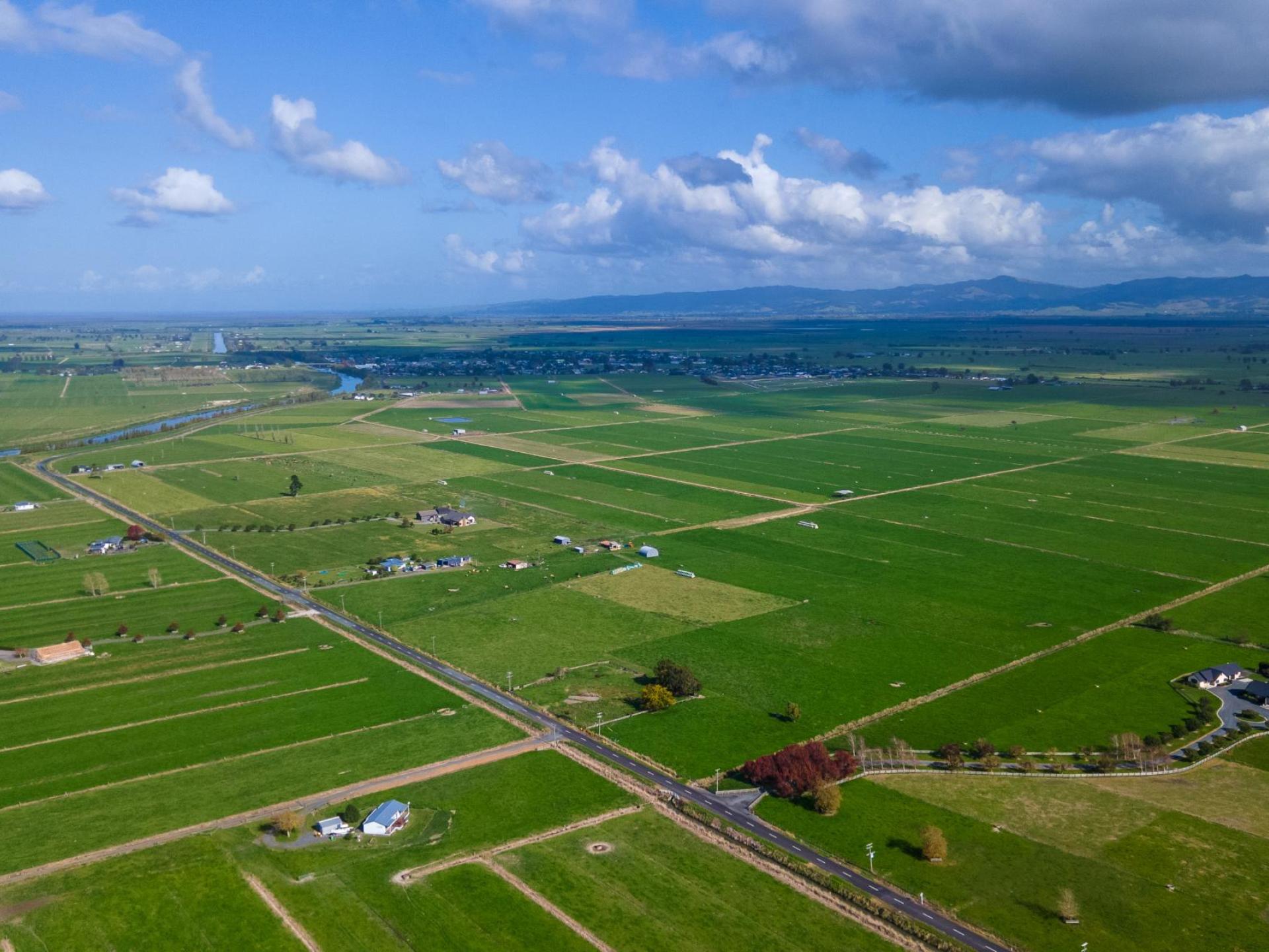 293 River Road, Ngatea