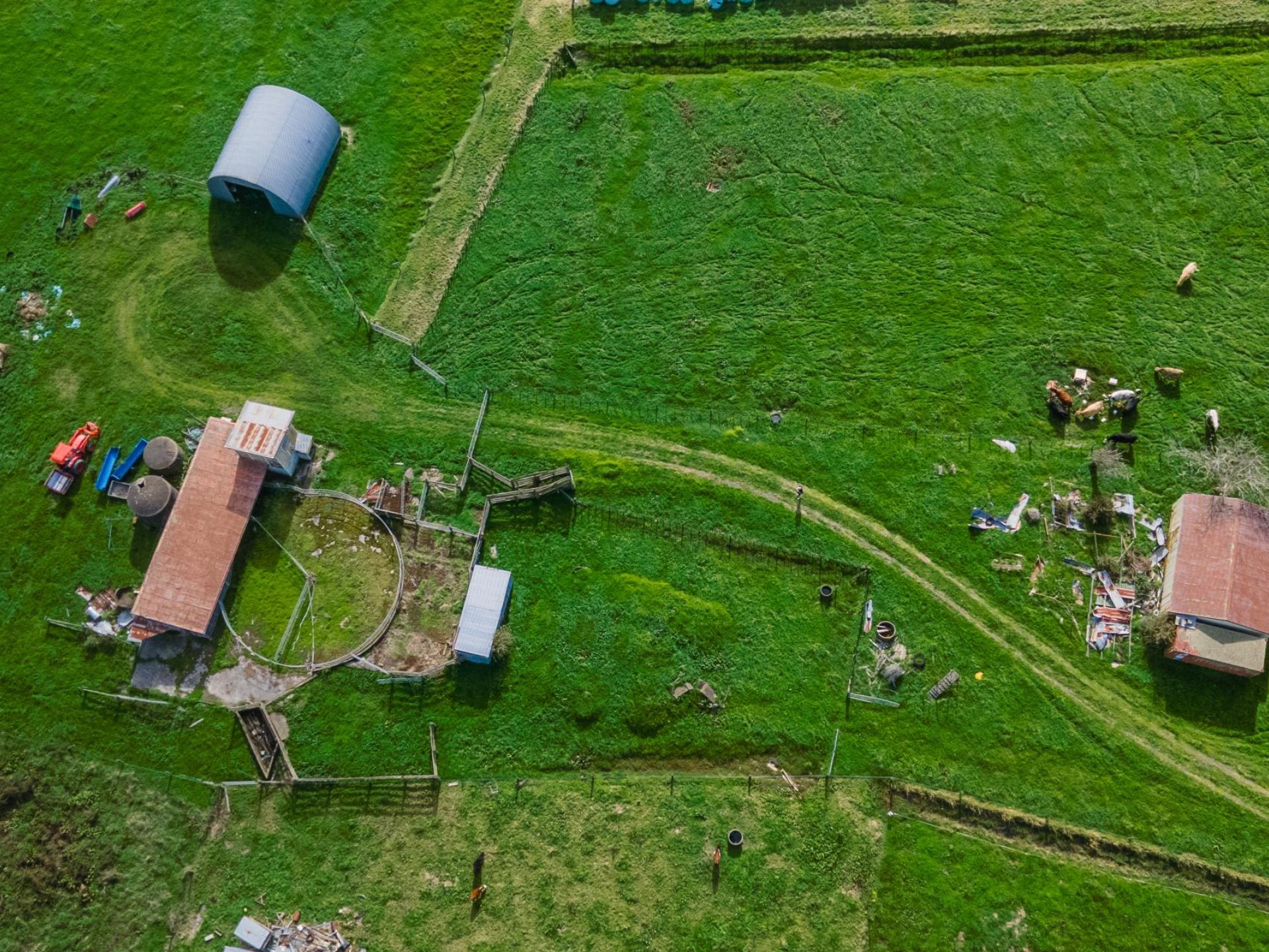 293 River Road, Ngatea