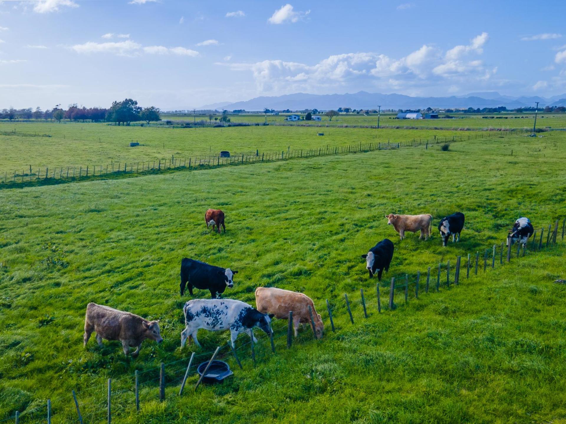 293 River Road, Ngatea