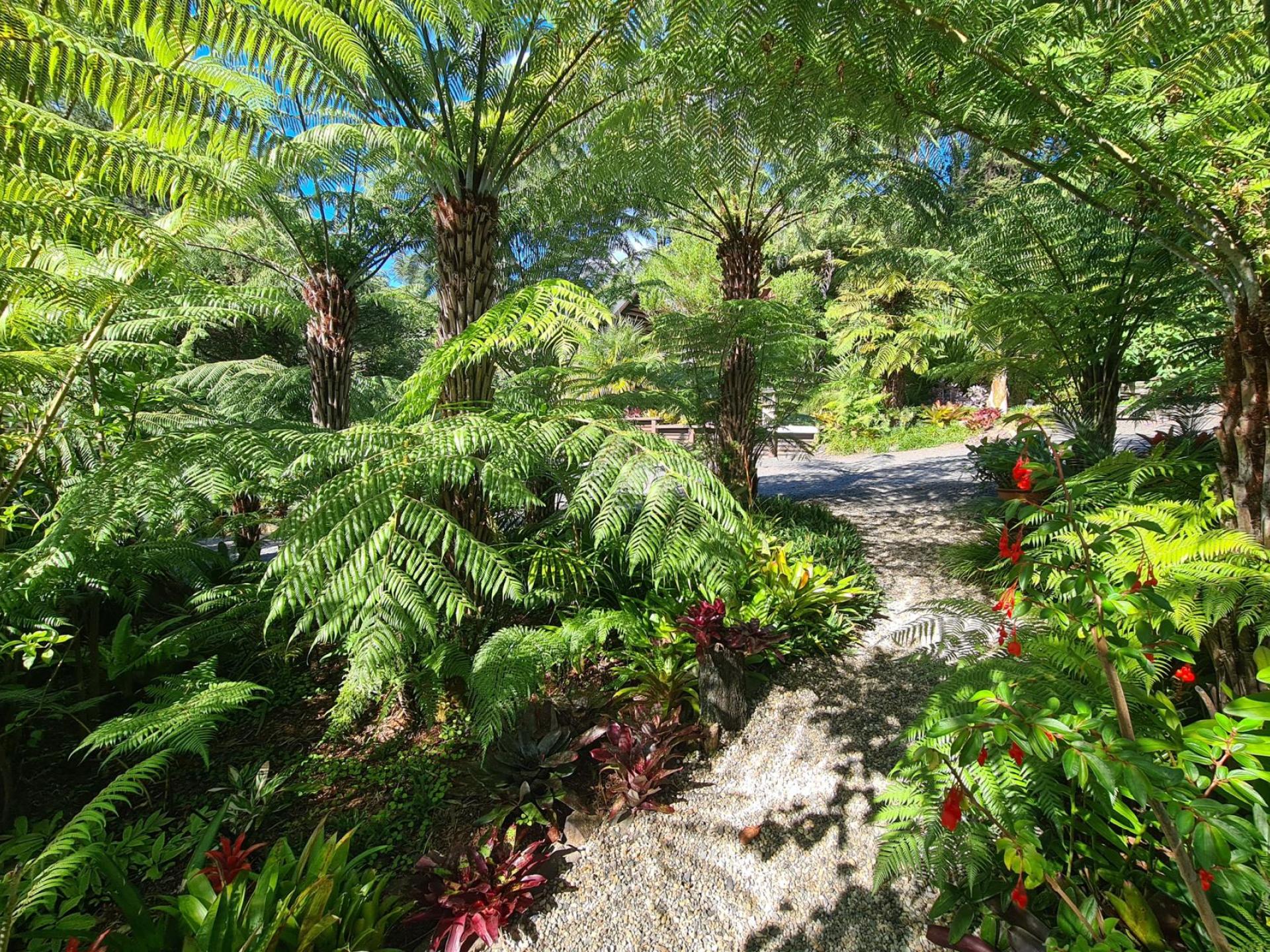 395B Driving Creek Road, Coromandel