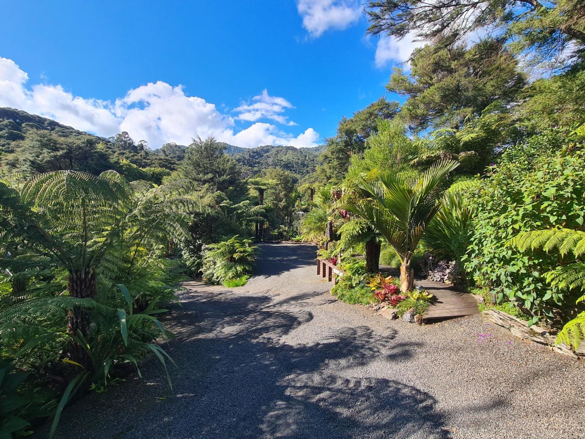 395B Driving Creek Road, Coromandel