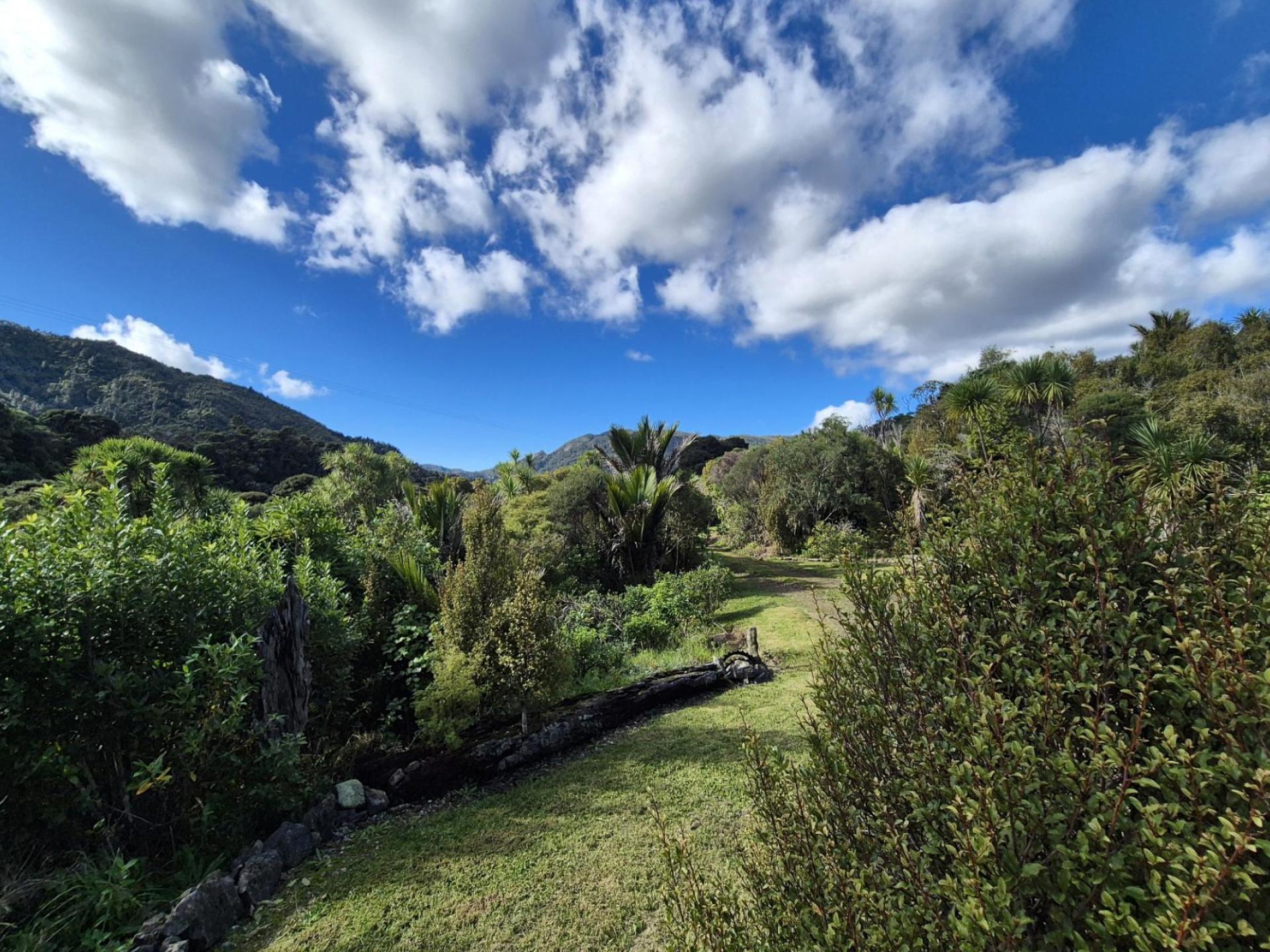 1797 Colville Road, Coromandel 1797 Colville Road, Coromandel