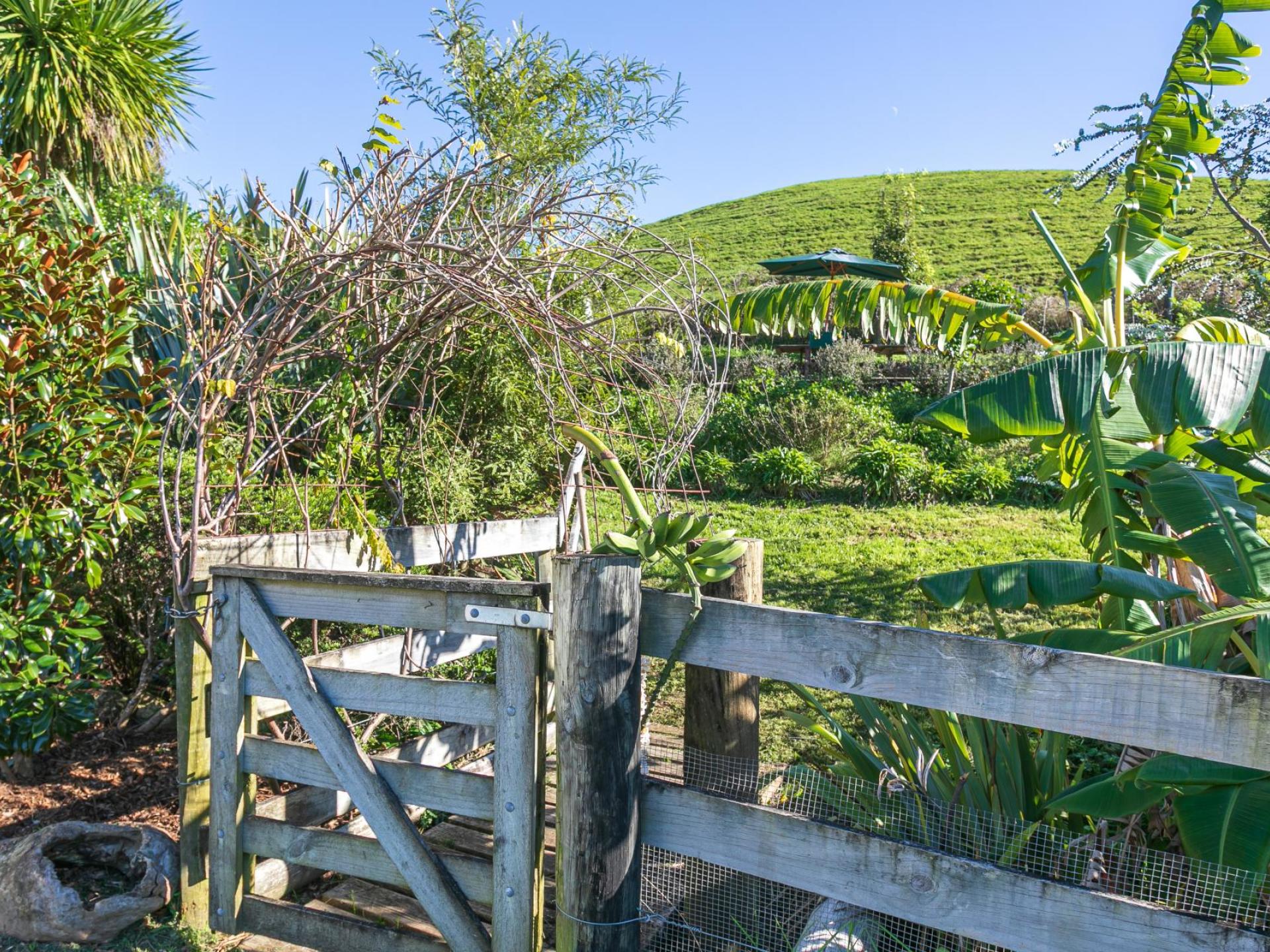 2787A Tapu-Coroglen Road, Coroglen 2787A Tapu-Coroglen Road, Coroglen