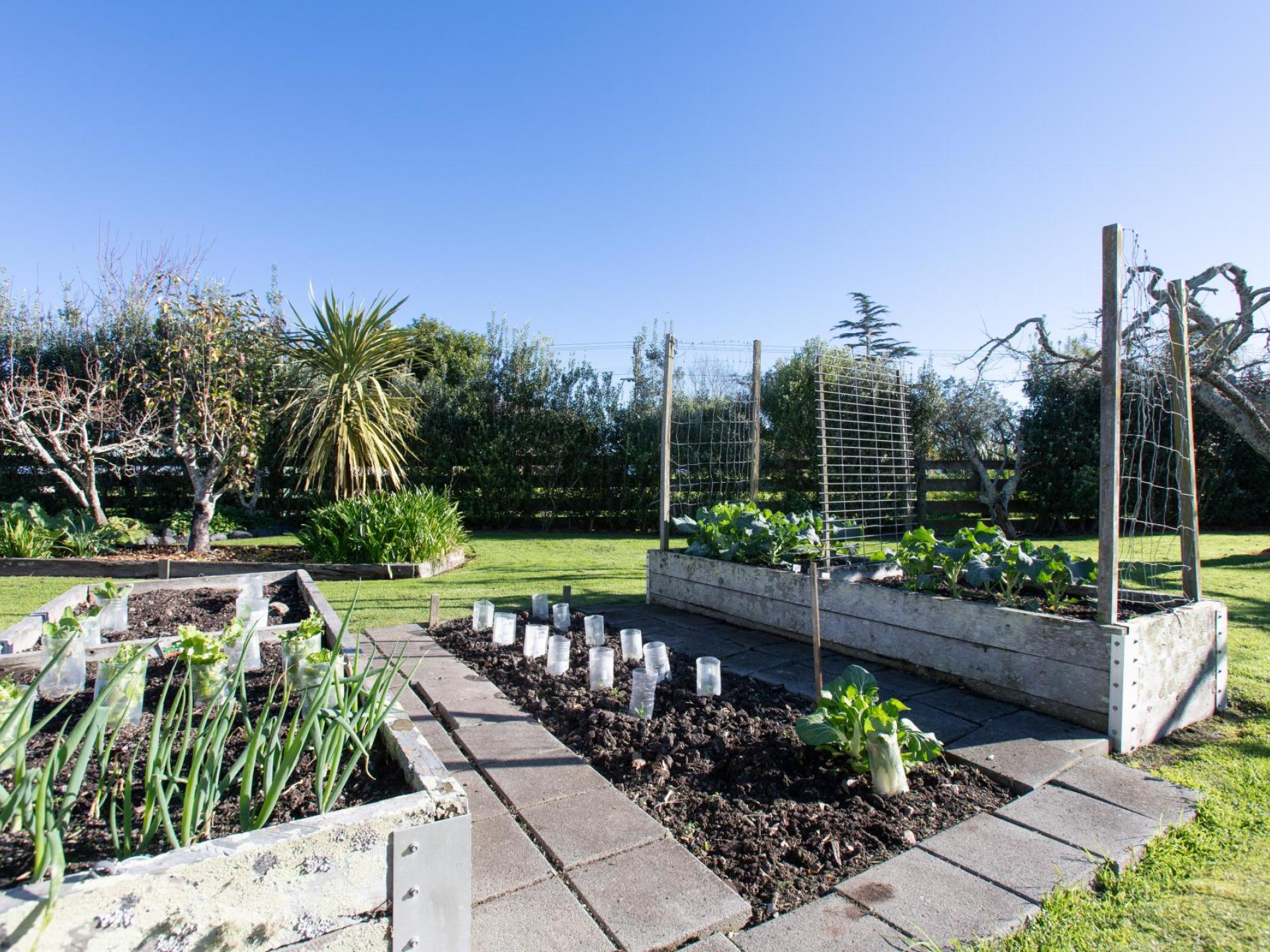 695 Hauraki Road, Turua 695 Hauraki Road, Turua