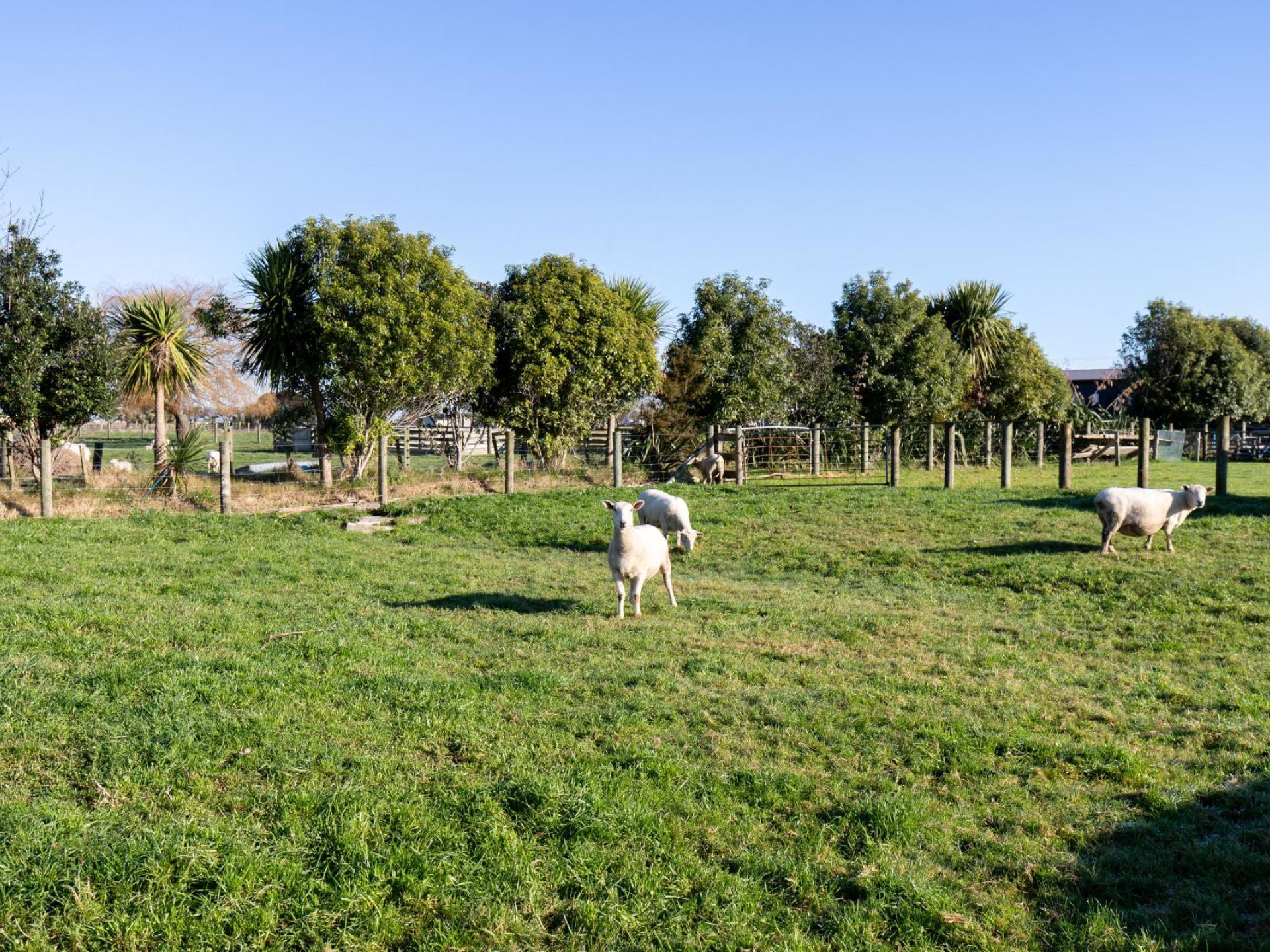 108 Huirau Road, Turua