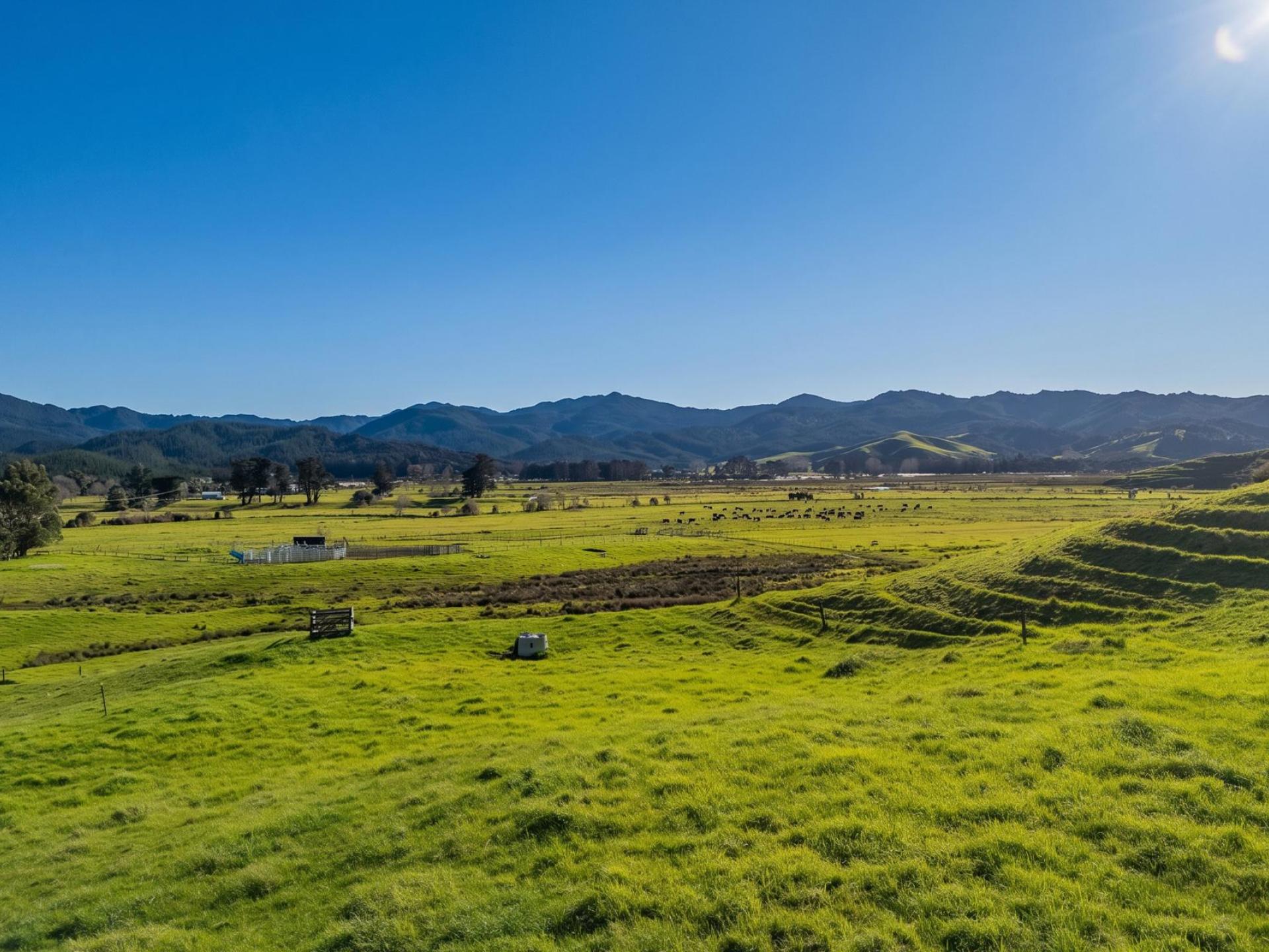 Lot 2 Proposed Subdivision of 157 Sh25, Te Rerenga Lot 2 Proposed Subdivision of 157 Sh25, Te Rerenga