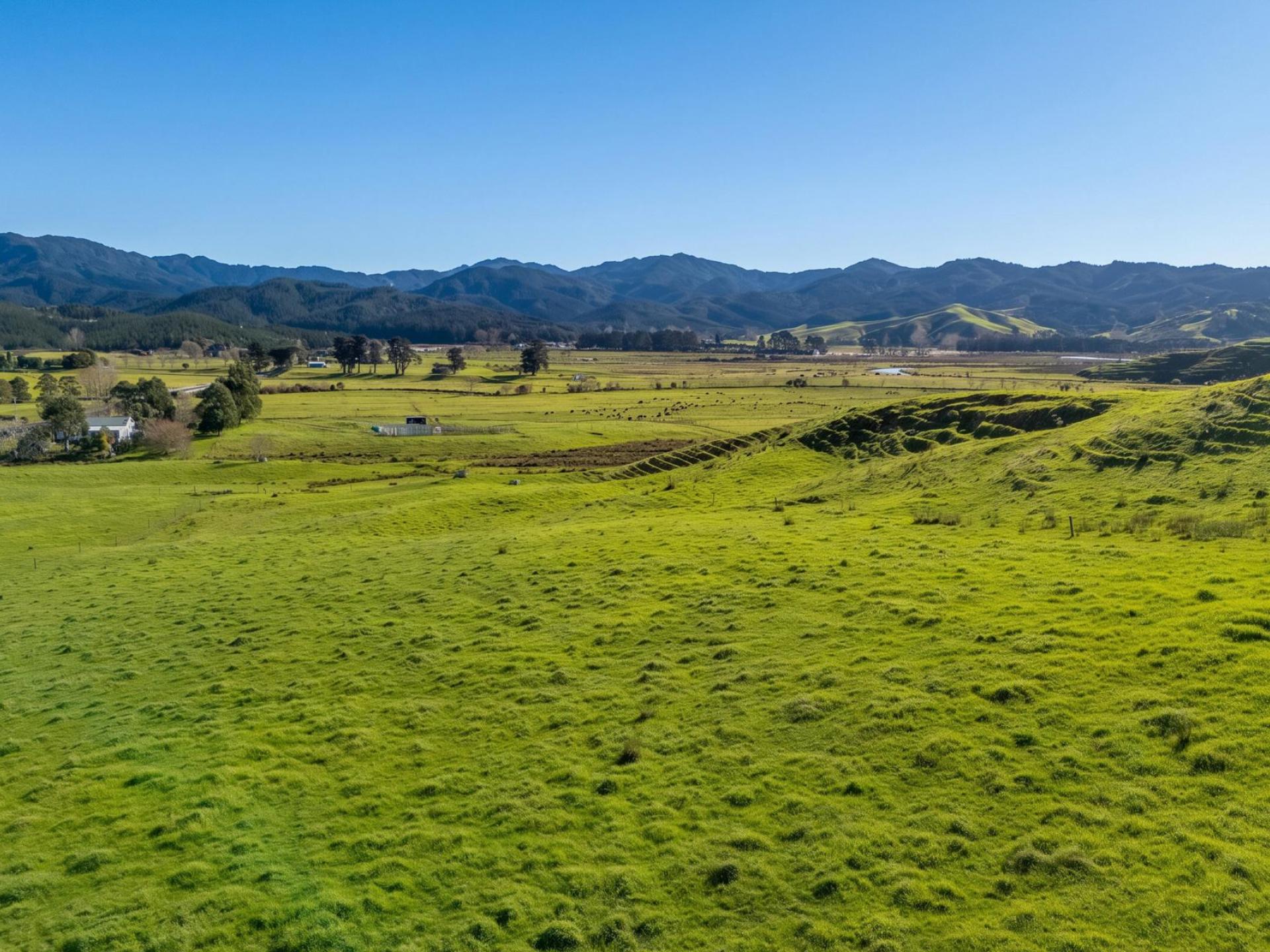 Lot 2 Proposed Subdivision of 157 Sh25, Te Rerenga Lot 2 Proposed Subdivision of 157 Sh25, Te Rerenga