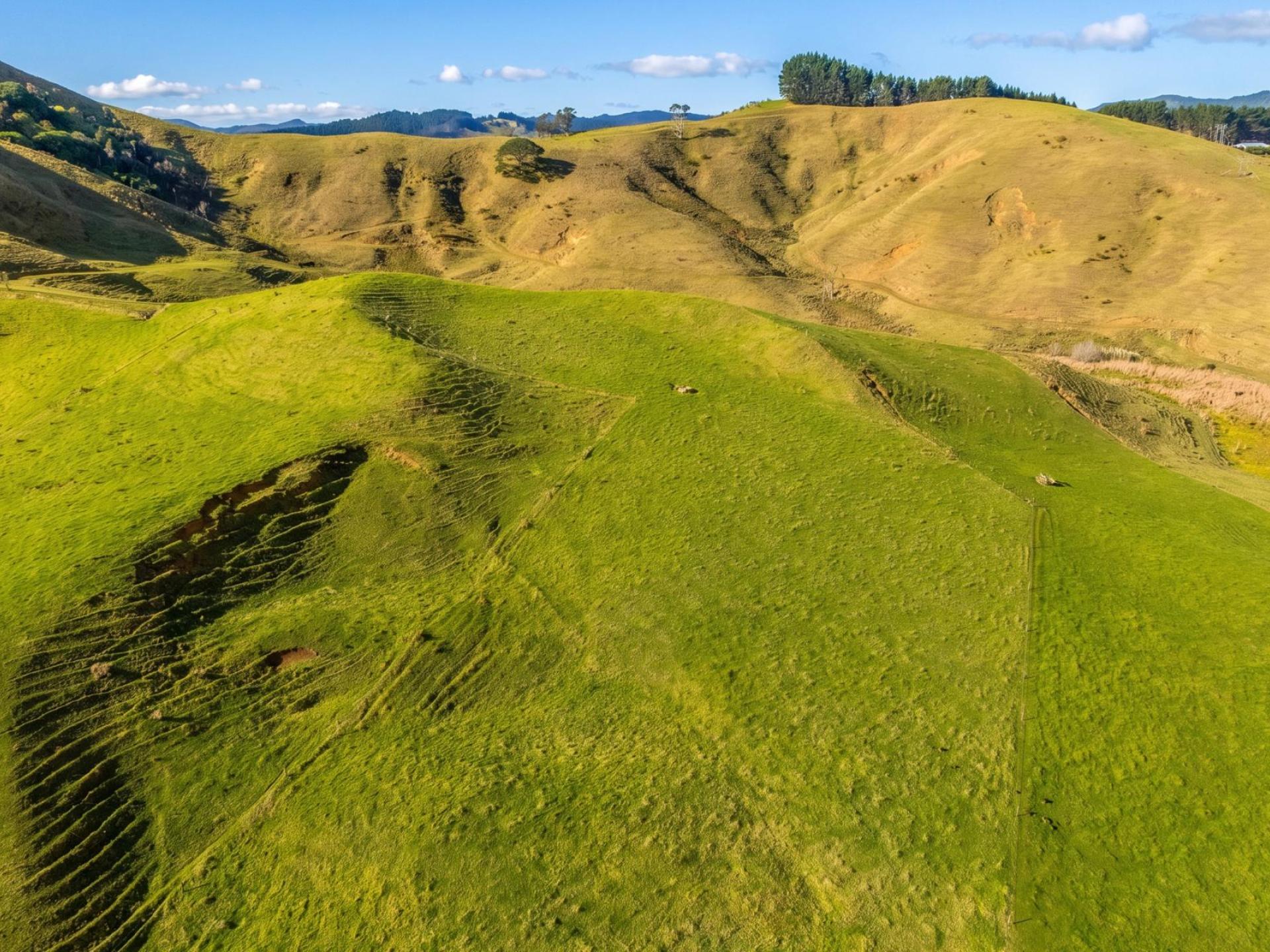 Lot 2 Proposed Subdivision of 157 Sh25, Te Rerenga Lot 2 Proposed Subdivision of 157 Sh25, Te Rerenga