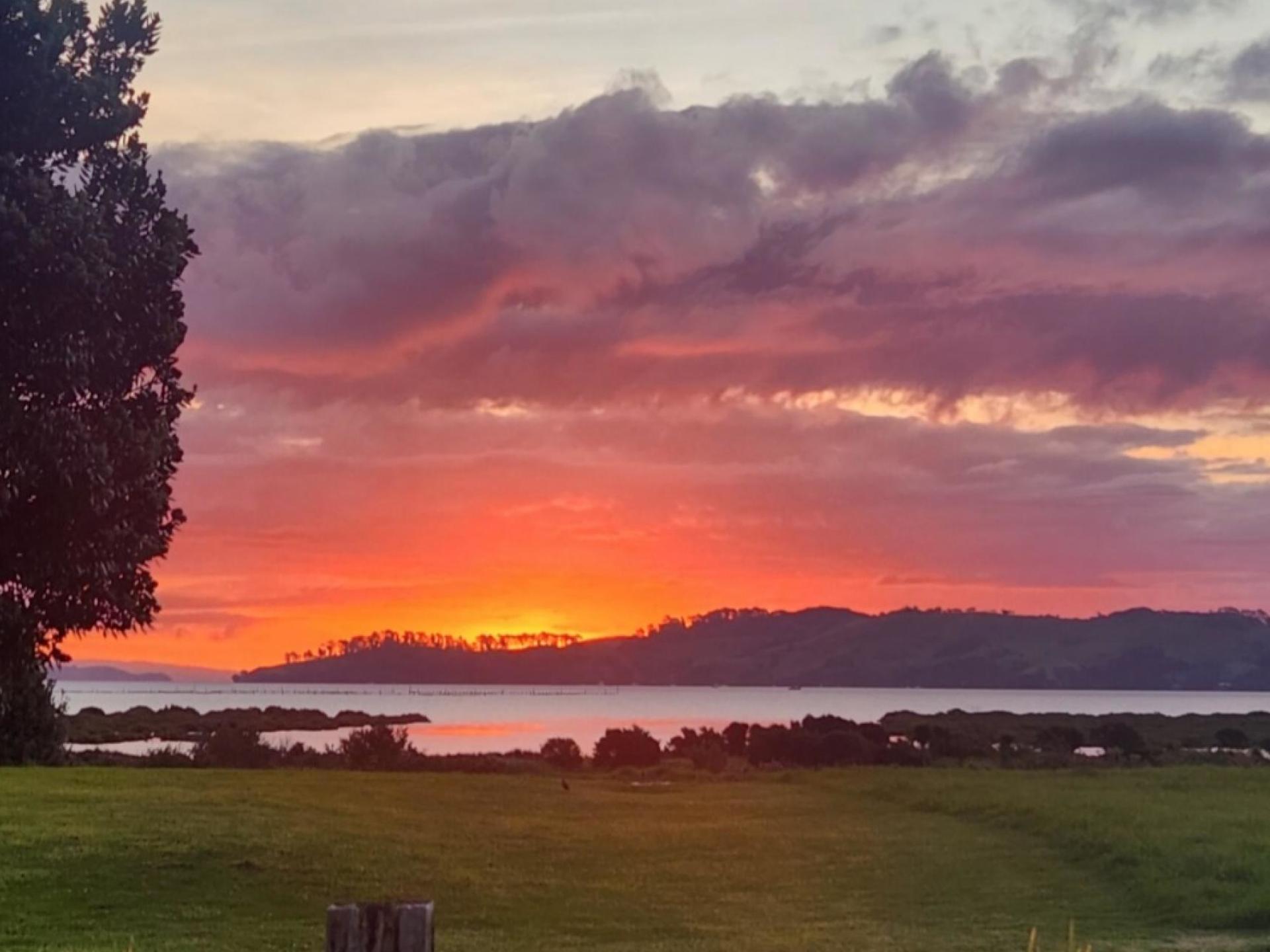 11 Koromiko Drive, Coromandel