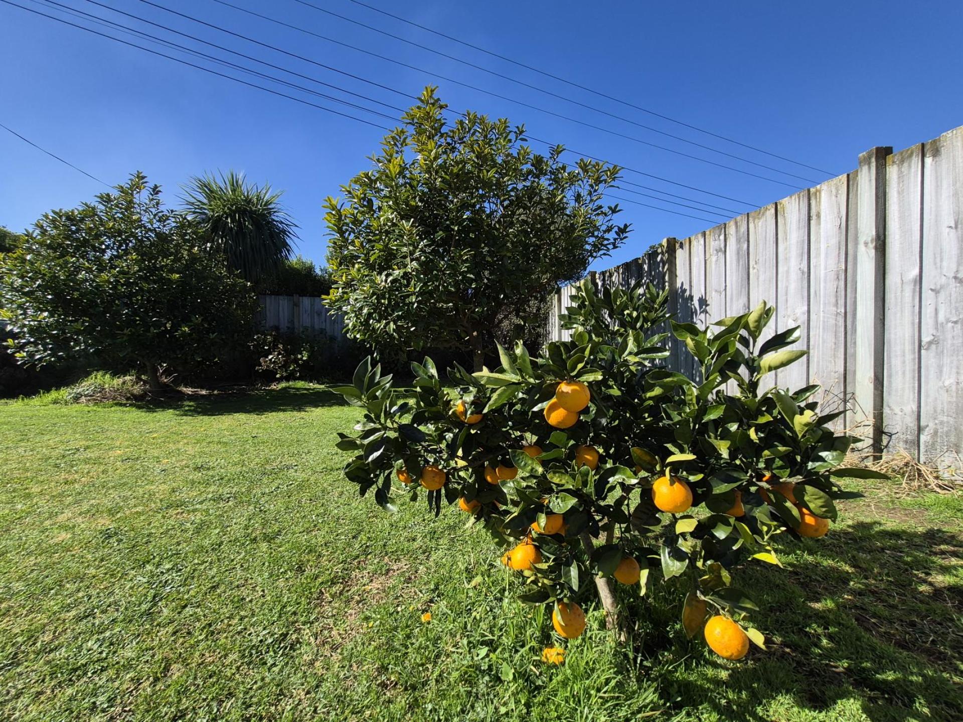 11 Koromiko Drive, Coromandel