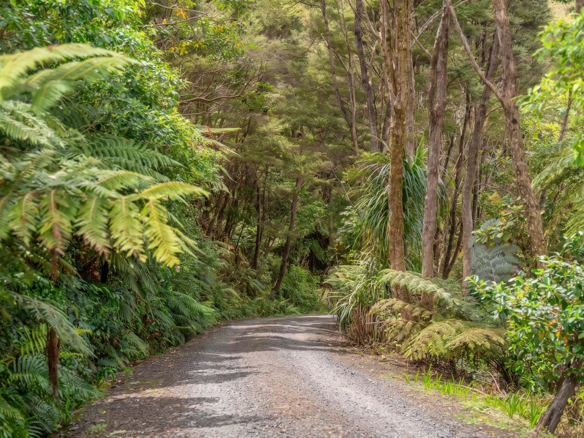 860 Buffalo Road, Coromandel 860 Buffalo Road, Coromandel