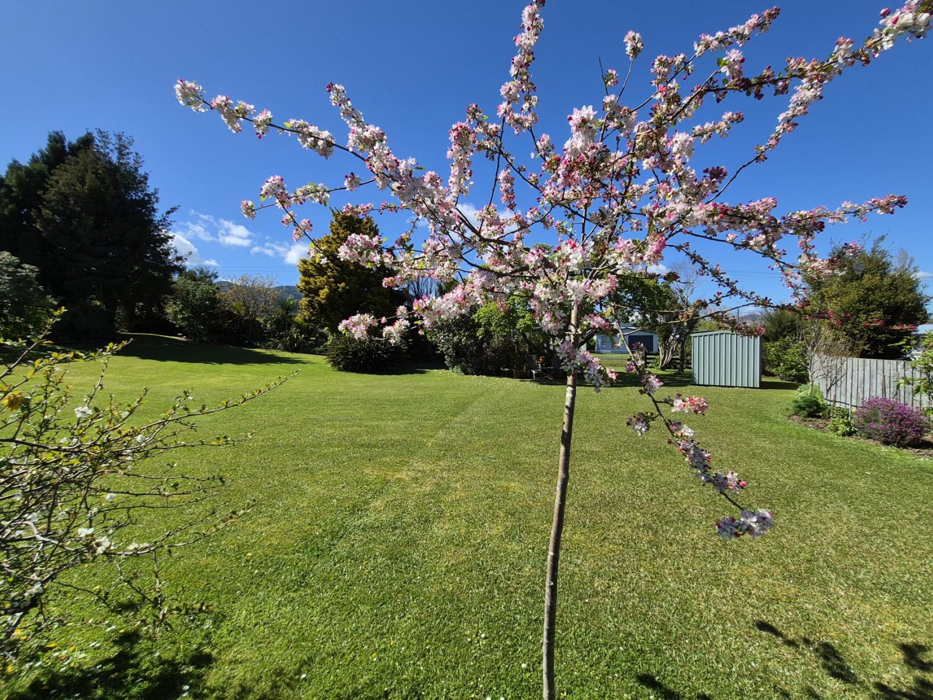 85 Watt Street, Coromandel 85 Watt Street, Coromandel