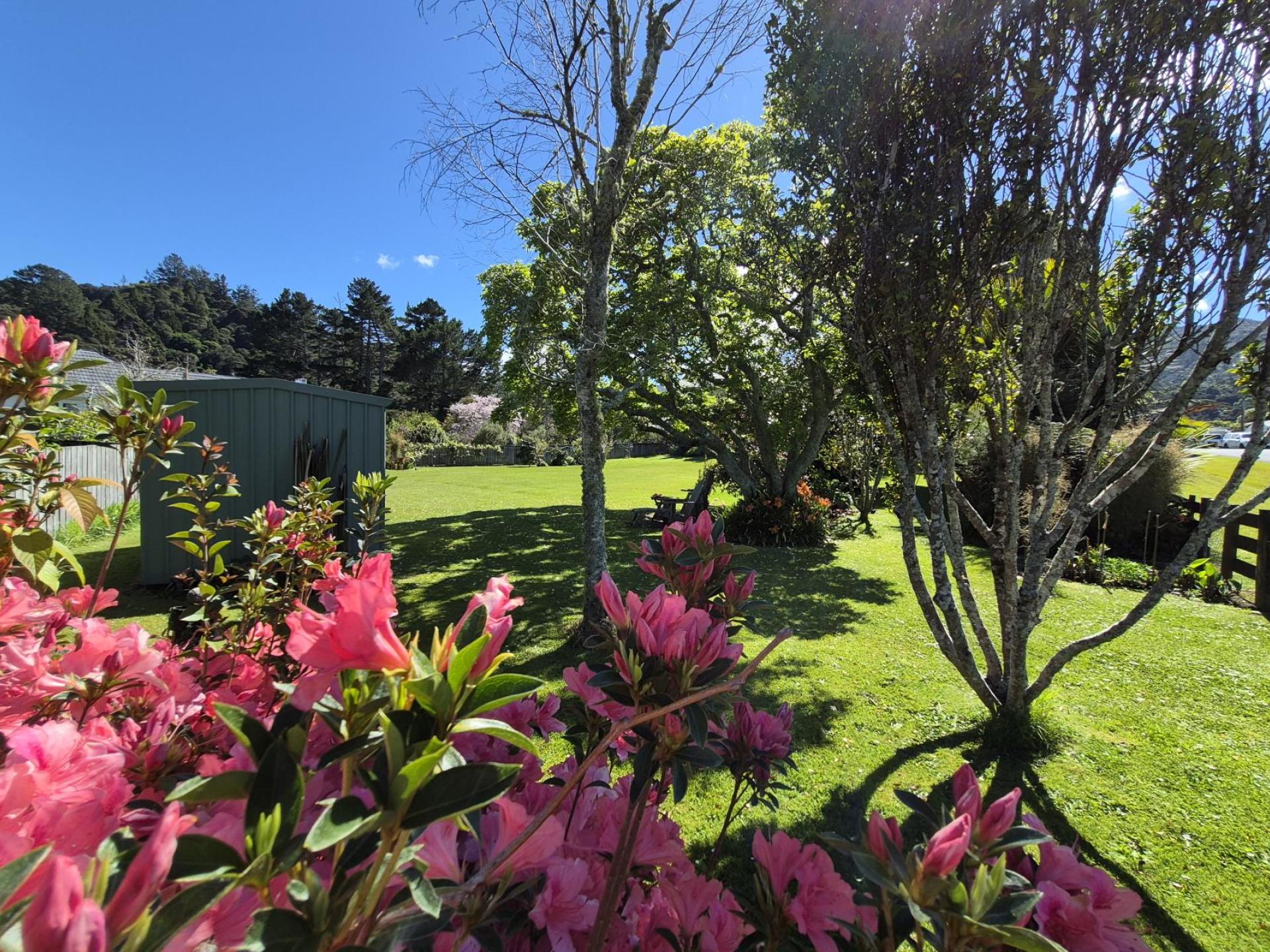 85 Watt Street, Coromandel 85 Watt Street, Coromandel