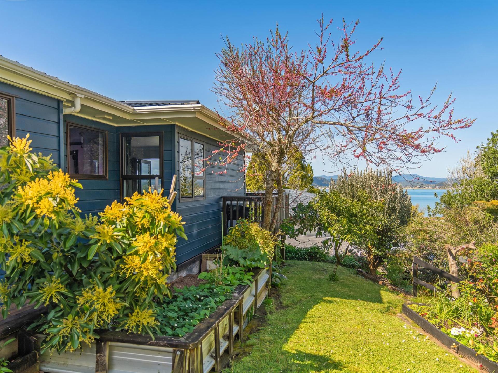 178 Buffalo Beach Road, Whitianga