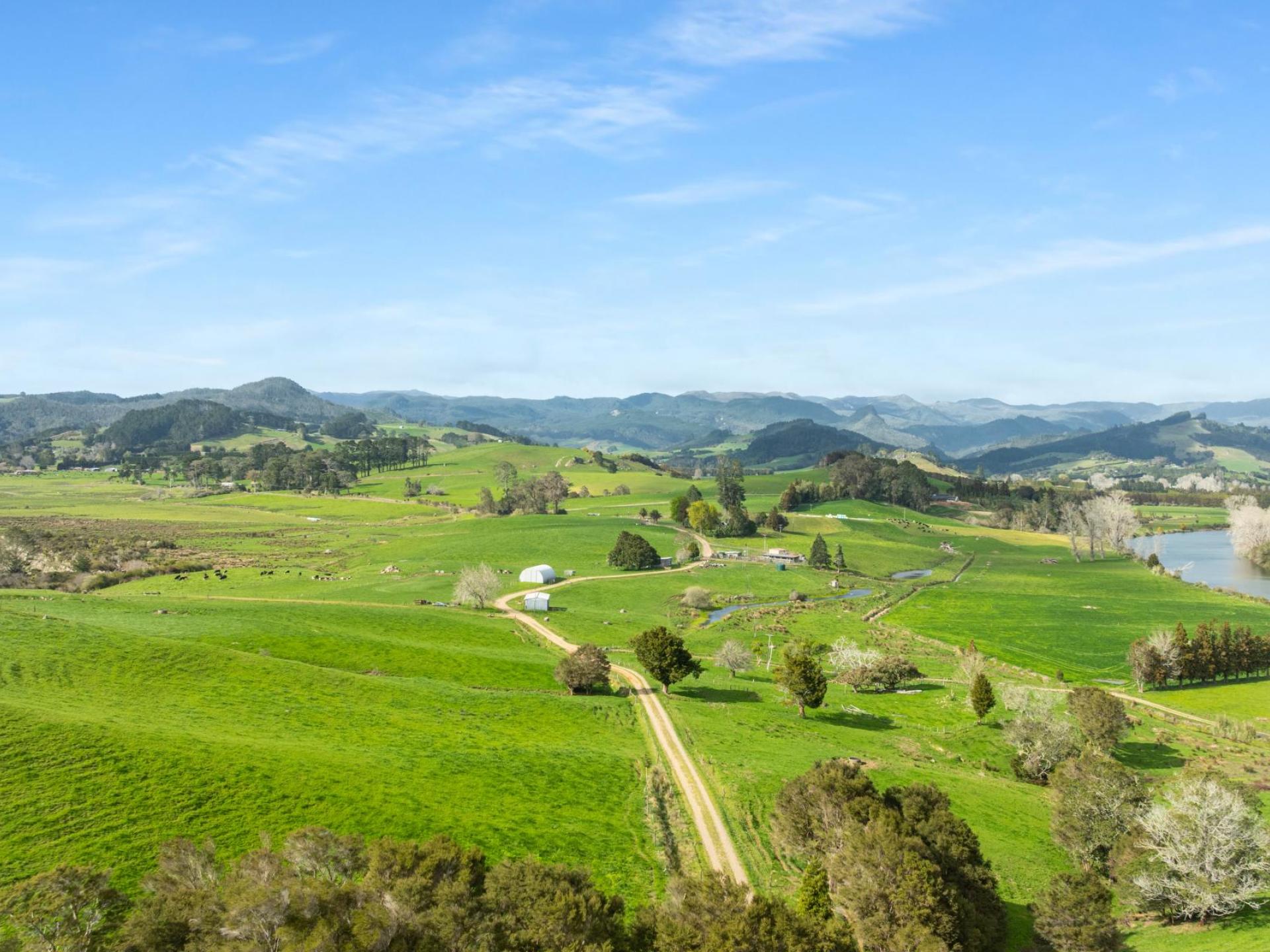 90 Camp Road, Coroglen, Whitianga