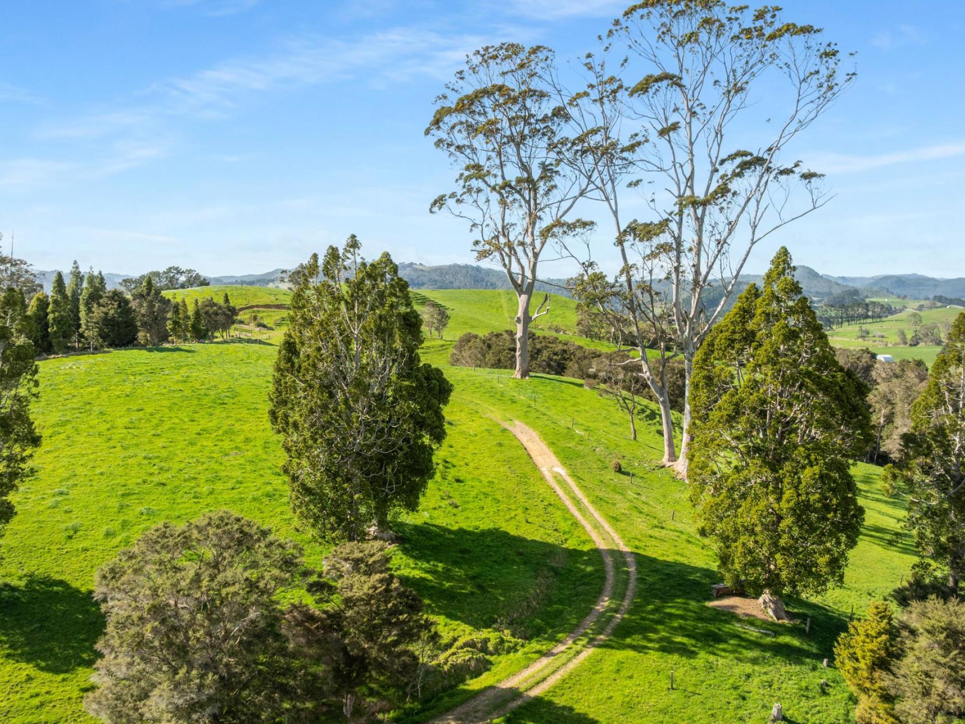 90 Camp Road, Coroglen, Whitianga