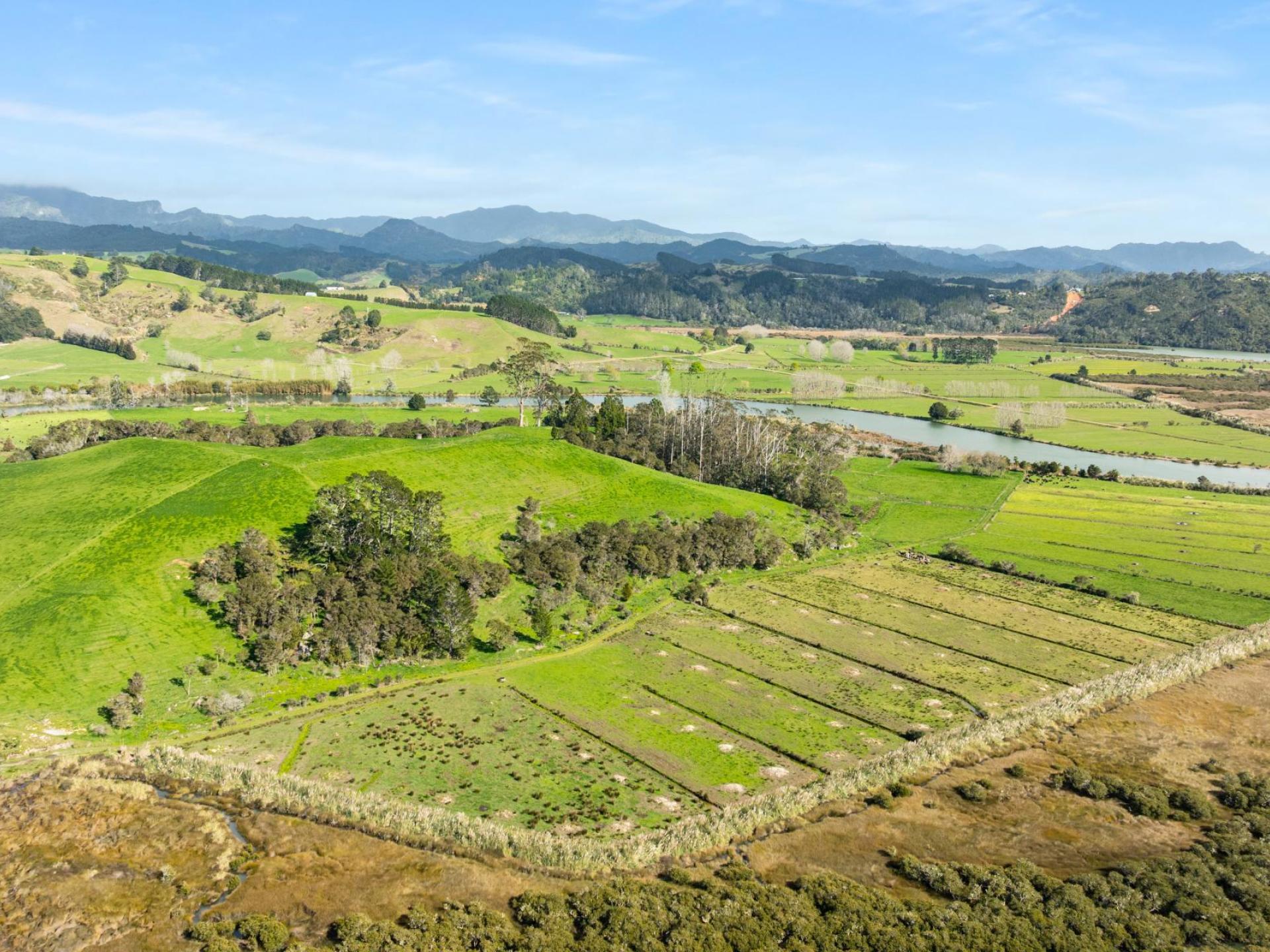 90 Camp Road, Coroglen, Whitianga