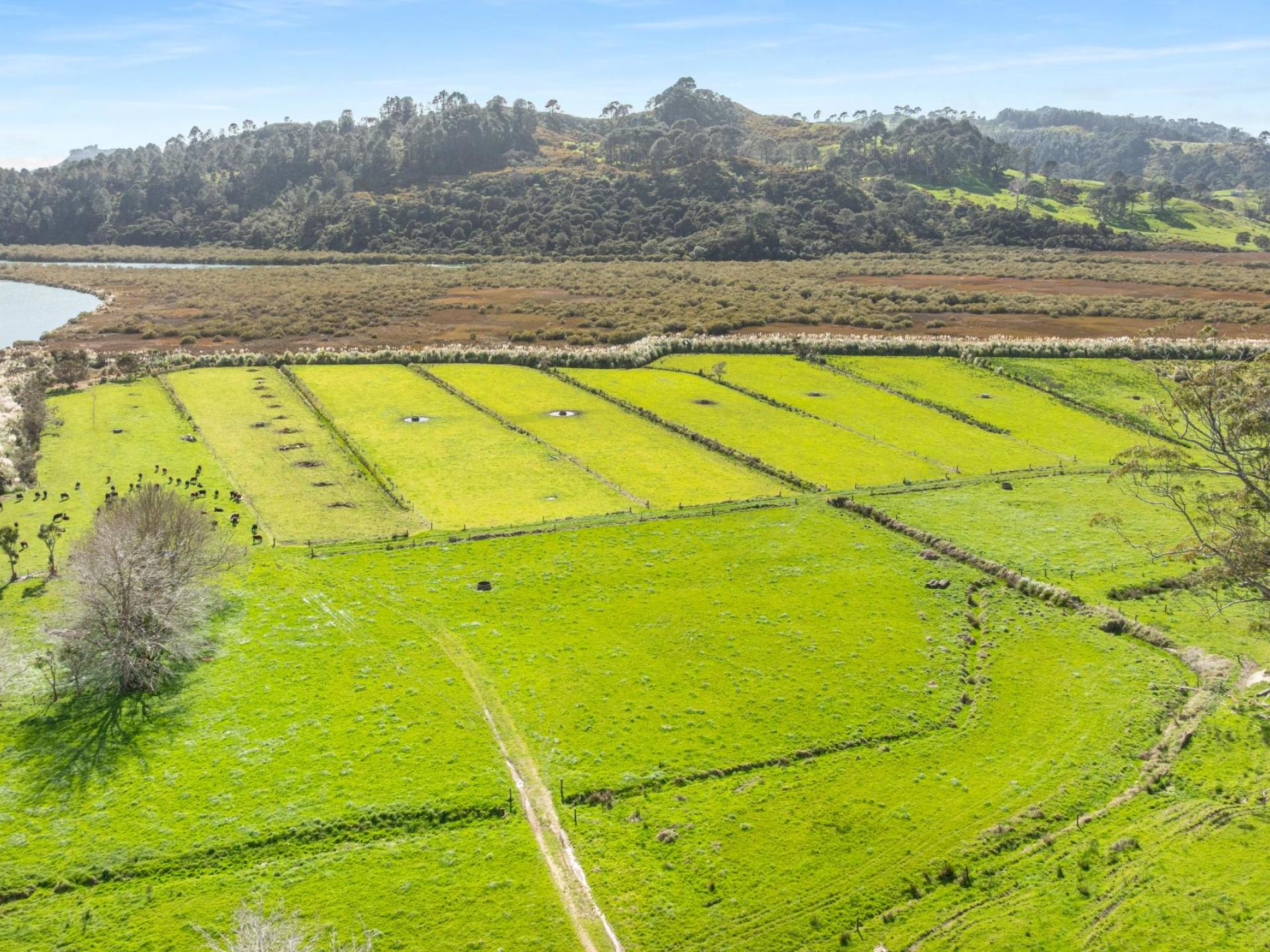 90 Camp Road, Coroglen, Whitianga