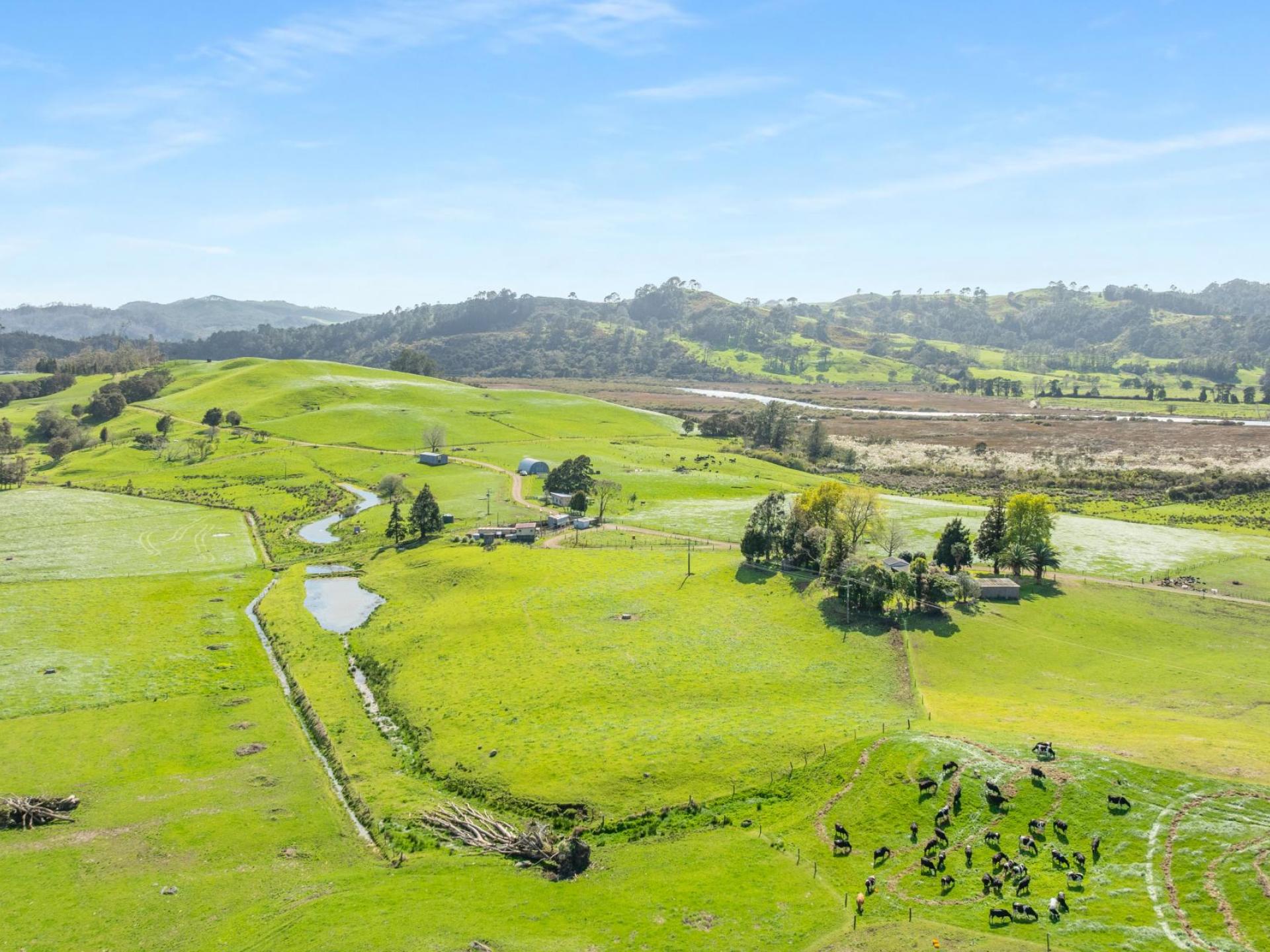 90 Camp Road, Coroglen, Whitianga