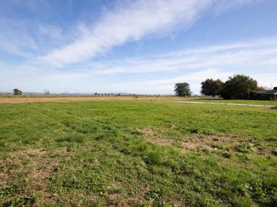 53D Pipiroa Road
