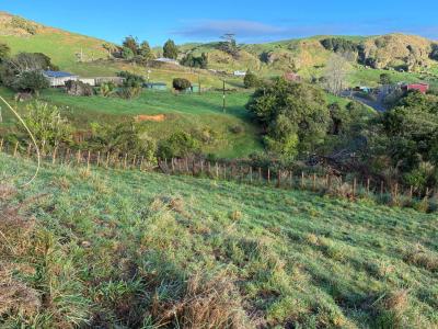 241 McDonald Mine Road