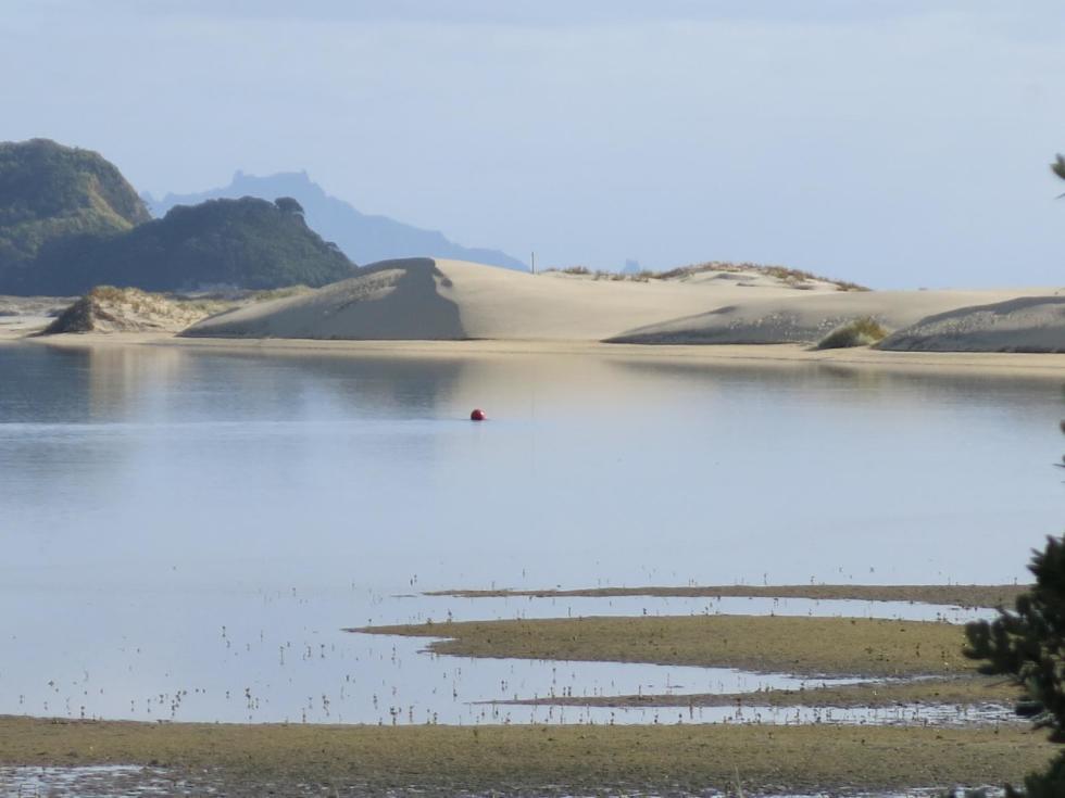 173 Tern Point, Mangawhai Kaipara Property for Sale