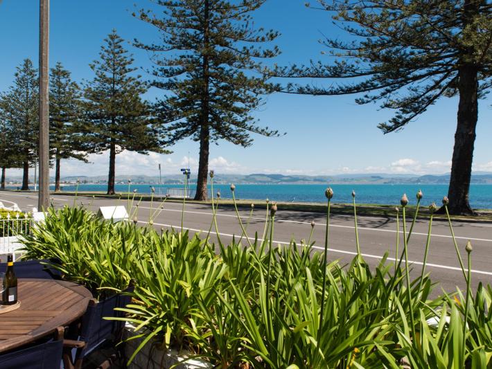 68 Hardinge Road, Ahuriri Napier Property for Sale