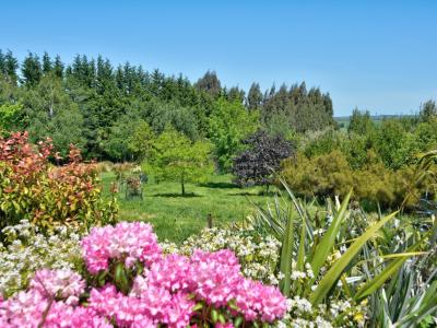 36 Nicholson Road, Gore