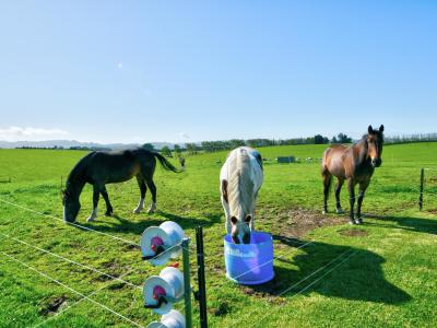 47 Humphries Road, Gore