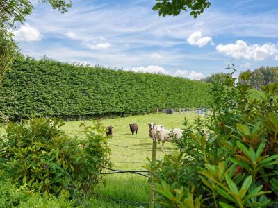 72 Millton Park Road, Mill Road