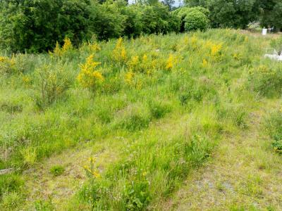 5 Ida Street, Lumsden