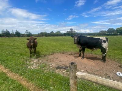 2, 120 Orion Road East, Makarewa