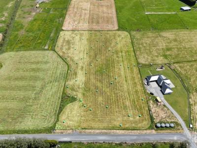 46 Brunswick Way, Seaward Bush