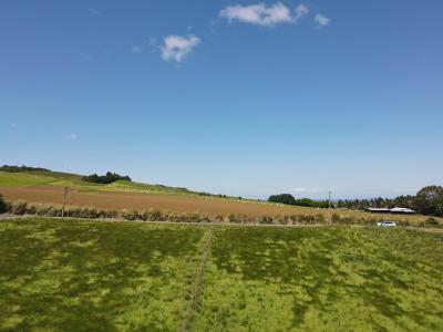 141D Poynter Road, Tussock Creek