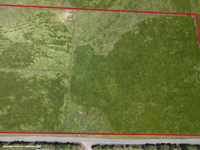 141D Poynter Road, Tussock Creek