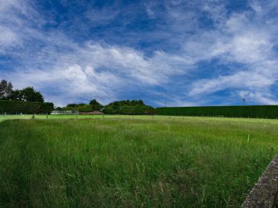 10 Wills Road, West Plains